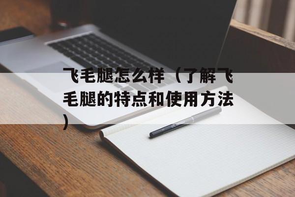 飞毛腿怎么样（了解飞毛腿的特点和使用方法）-第1张图片-