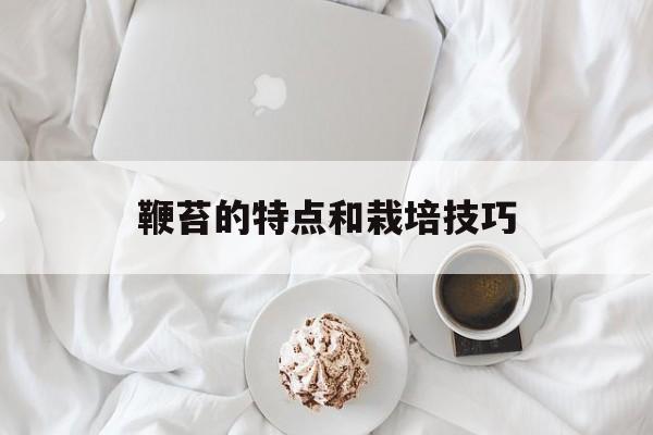 鞭苔的特点和栽培技巧-第1张图片-