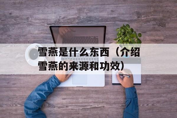 雪燕是什么东西（介绍雪燕的来源和功效）-第1张图片-