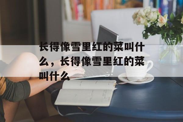 长得像雪里红的菜叫什么，长得像雪里红的菜叫什么-第1张图片-