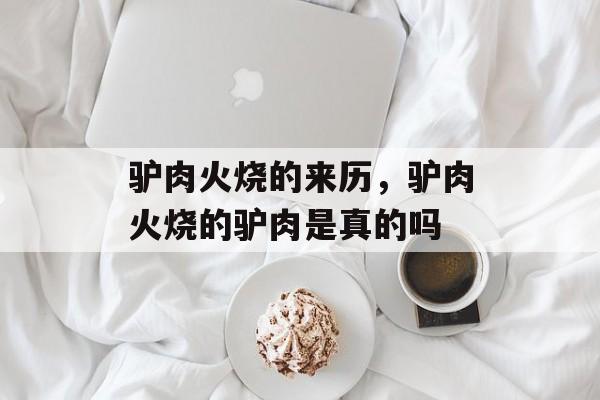 驴肉火烧的来历，驴肉火烧的驴肉是真的吗-第1张图片-