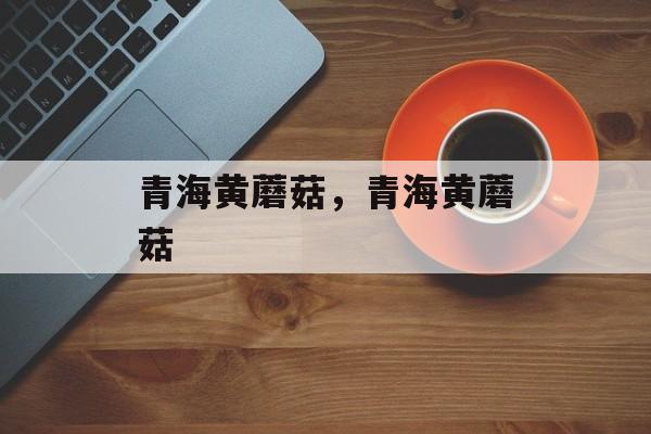 青海黄蘑菇，青海黄蘑菇-第1张图片-