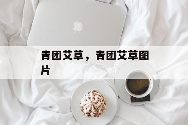 青团艾草，青团艾草图片-第1张图片-