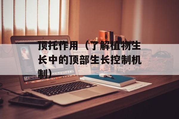顶托作用（了解植物生长中的顶部生长控制机制）-第1张图片-