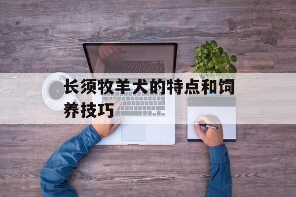 长须牧羊犬的特点和饲养技巧-第1张图片-