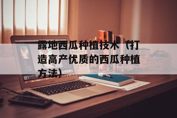 露地西瓜种植技术（打造高产优质的西瓜种植方法）-第1张图片-