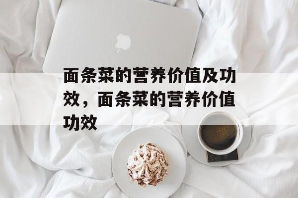面条菜的营养价值及功效，面条菜的营养价值功效-第1张图片-