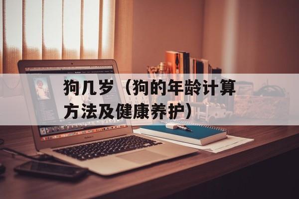 狗几岁（狗的年龄计算方法及健康养护）-第1张图片-