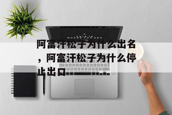 阿富汗松子为什么出名，阿富汗松子为什么停止出口-第1张图片-