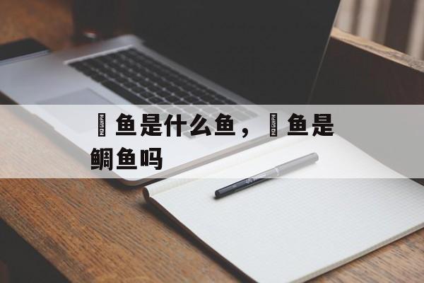 鰤鱼是什么鱼，鰤鱼是鲷鱼吗-第1张图片-