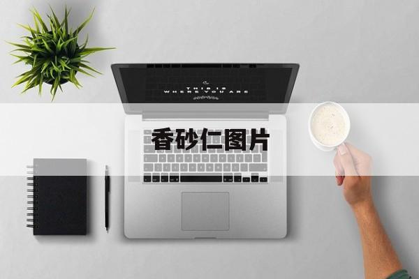 香砂仁图片-第1张图片-