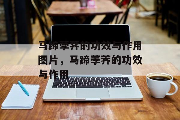 马蹄荸荠的功效与作用图片,马蹄荸荠的功效与作用-第1张图片- 马蹄荸荠的功效与作用图片,马蹄荸荠的功效与作用-第1张图片-