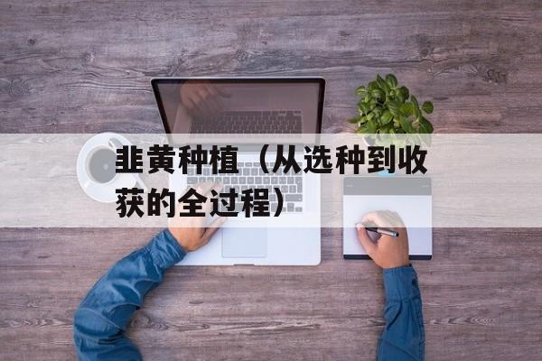 韭黄种植（从选种到收获的全过程）-第1张图片-