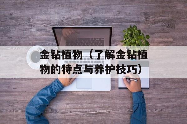 金钻植物（了解金钻植物的特点与养护技巧）-第1张图片-