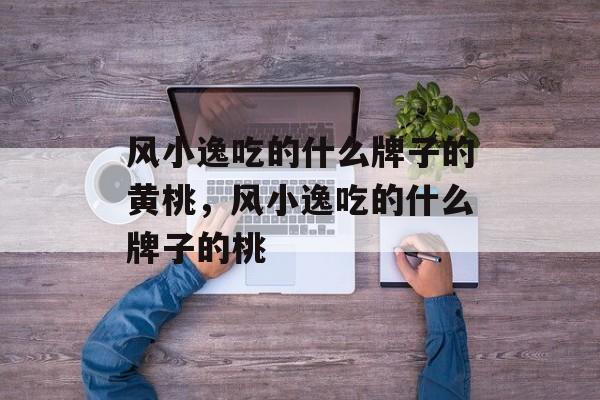 风小逸吃的什么牌子的黄桃，风小逸吃的什么牌子的桃-第1张图片-