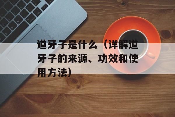 道牙子是什么（详解道牙子的来源、功效和使用方法）-第1张图片-