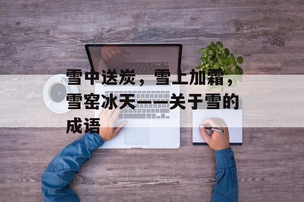 雪中送炭，雪上加霜，雪窑冰天——关于雪的成语-第1张图片-