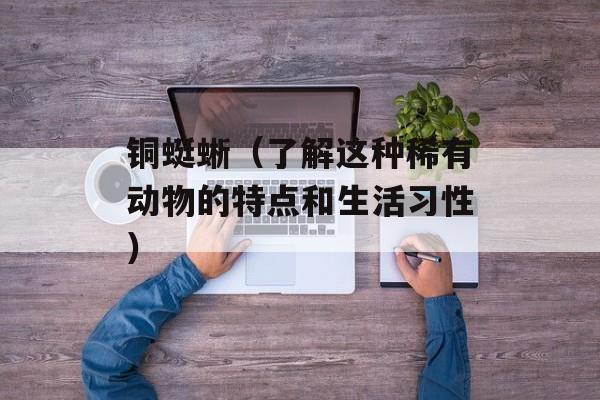 铜蜓蜥（了解这种稀有动物的特点和生活习性）-第1张图片-