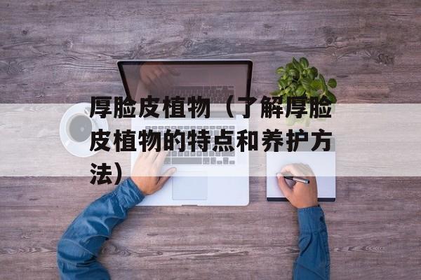 厚脸皮植物（了解厚脸皮植物的特点和养护方法）-第1张图片-