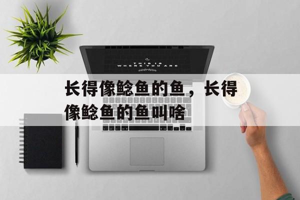 长得像鲶鱼的鱼，长得像鲶鱼的鱼叫啥-第1张图片-