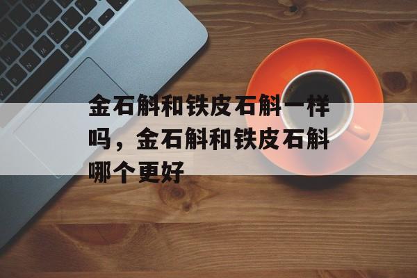 金石斛和铁皮石斛一样吗，金石斛和铁皮石斛哪个更好-第1张图片-