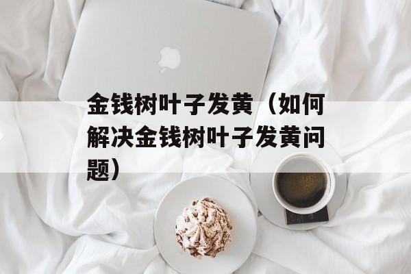 金钱树叶子发黄（如何解决金钱树叶子发黄问题）-第1张图片-