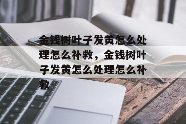金钱树叶子发黄怎么处理怎么补救，金钱树叶子发黄怎么处理怎么补救-第1张图片-