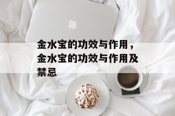 金水宝的功效与作用，金水宝的功效与作用及禁忌-第1张图片-
