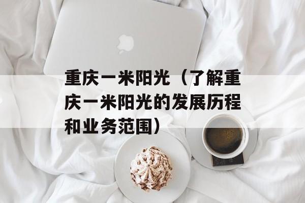 重庆一米阳光（了解重庆一米阳光的发展历程和业务范围）-第1张图片-