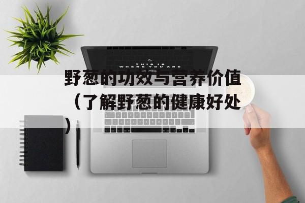 野葱的功效与营养价值（了解野葱的健康好处）-第1张图片-