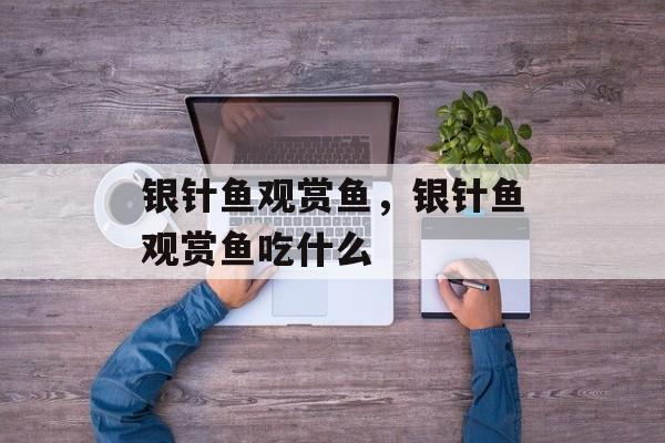 银针鱼观赏鱼，银针鱼观赏鱼吃什么-第1张图片-
