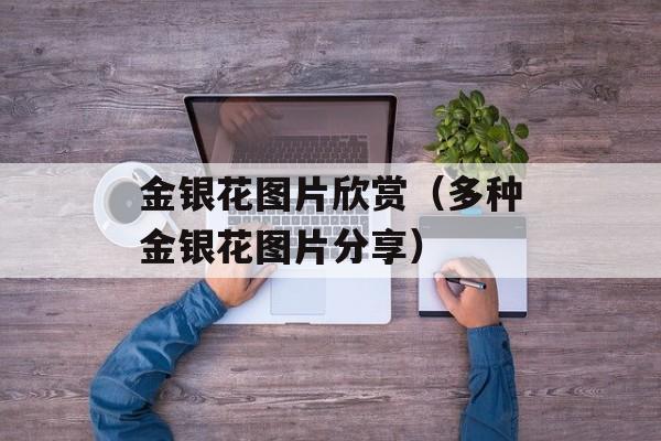 金银花图片欣赏（多种金银花图片分享）-第1张图片-