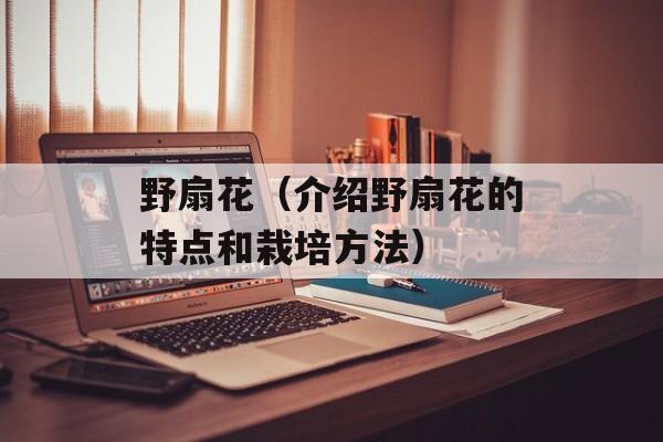 野扇花（介绍野扇花的特点和栽培方法）-第1张图片-
