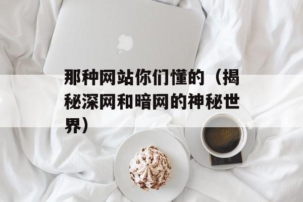 那种网站你们懂的（揭秘深网和暗网的神秘世界）-第1张图片-