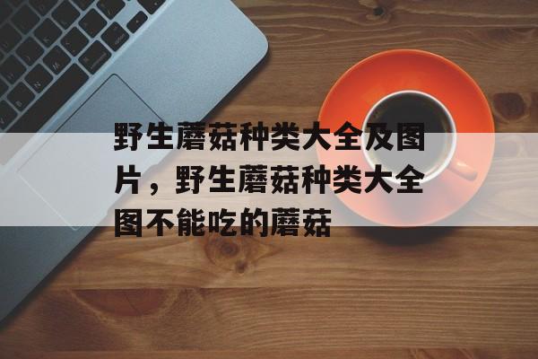 野生蘑菇种类大全及图片，野生蘑菇种类大全图不能吃的蘑菇-第1张图片-