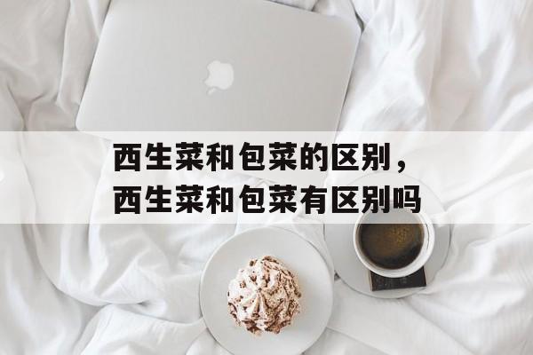 西生菜和包菜的区别，西生菜和包菜有区别吗-第1张图片-