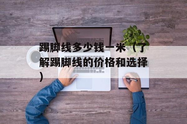 踢脚线多少钱一米（了解踢脚线的价格和选择）-第1张图片-