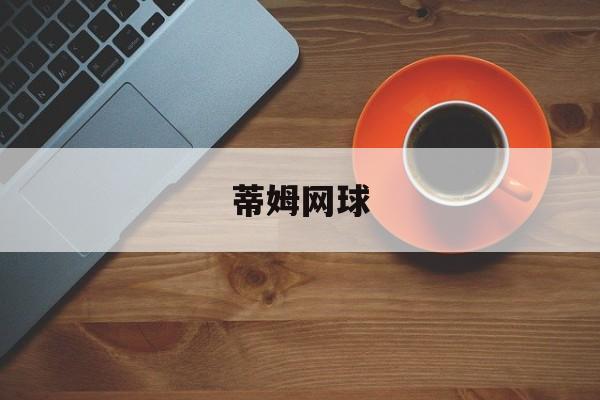蒂姆网球-第1张图片-