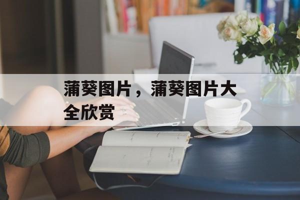 蒲葵图片，蒲葵图片大全欣赏-第1张图片-