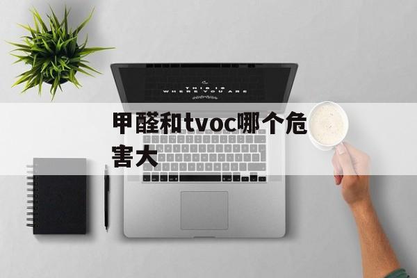 甲醛和tvoc哪个危害大-第1张图片-