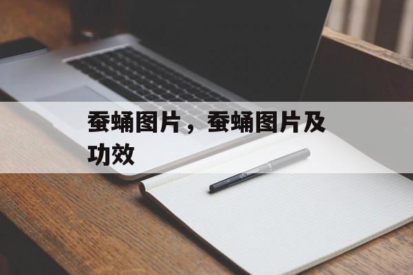 蚕蛹图片，蚕蛹图片及功效-第1张图片-