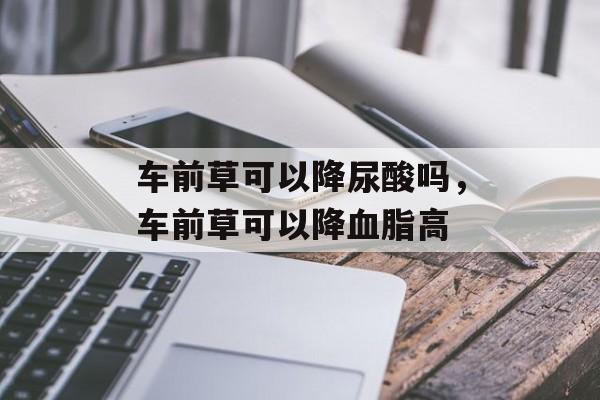 车前草可以降尿酸吗，车前草可以降血脂高-第1张图片-