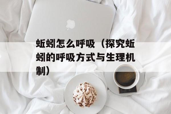 蚯蚓怎么呼吸（探究蚯蚓的呼吸方式与生理机制）-第1张图片-
