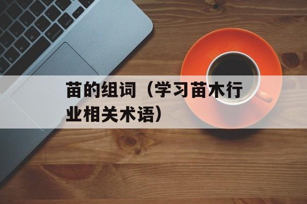 苗的组词（学习苗木行业相关术语）-第1张图片-