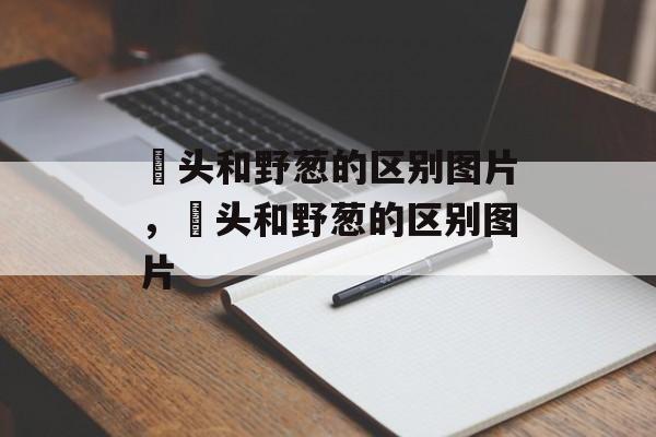 藠头和野葱的区别图片，藠头和野葱的区别图片-第1张图片-