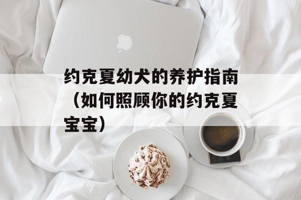 约克夏幼犬的养护指南（如何照顾你的约克夏宝宝）-第1张图片-