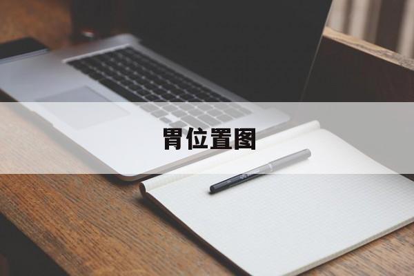 胃位置图-第1张图片-