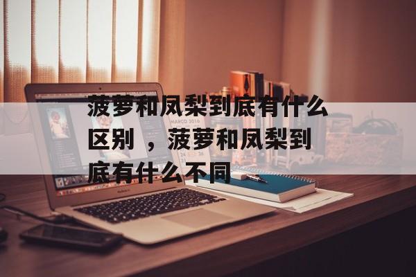 菠萝和凤梨到底有什么区别 ，菠萝和凤梨到底有什么不同-第1张图片-