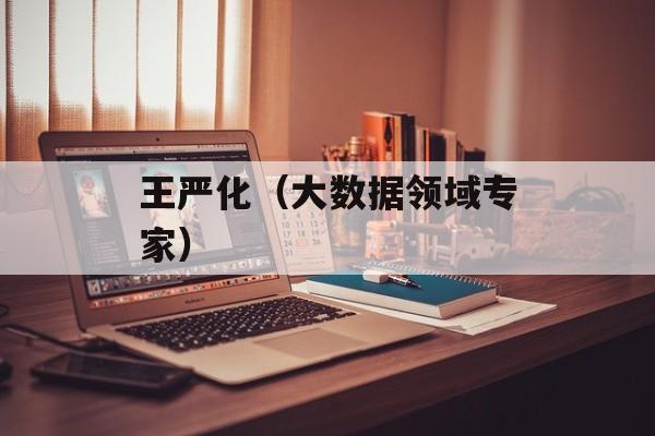 王严化（大数据领域专家）-第1张图片-