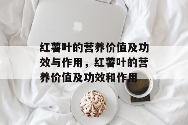 红薯叶的营养价值及功效与作用，红薯叶的营养价值及功效和作用-第1张图片-